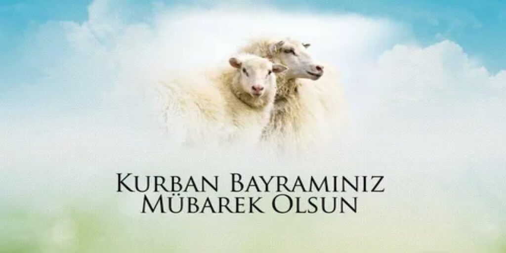 2024 Kurban Bayramı Emekli İkramiyesi: Beklentiler ve Detaylar